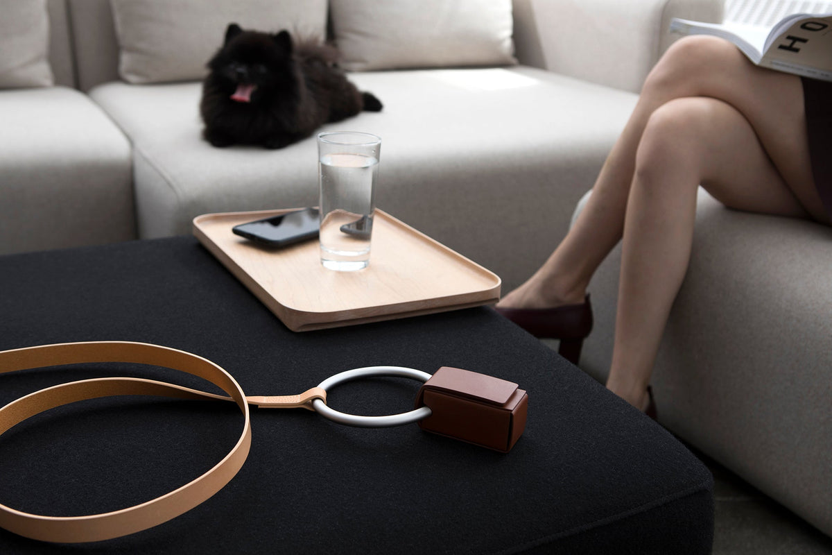 Peach Lumi Leash resting on a black ottoman with its silver ring handle and brown waste-bag holder visible, while a small black dog relaxes on a sofa behind it.
