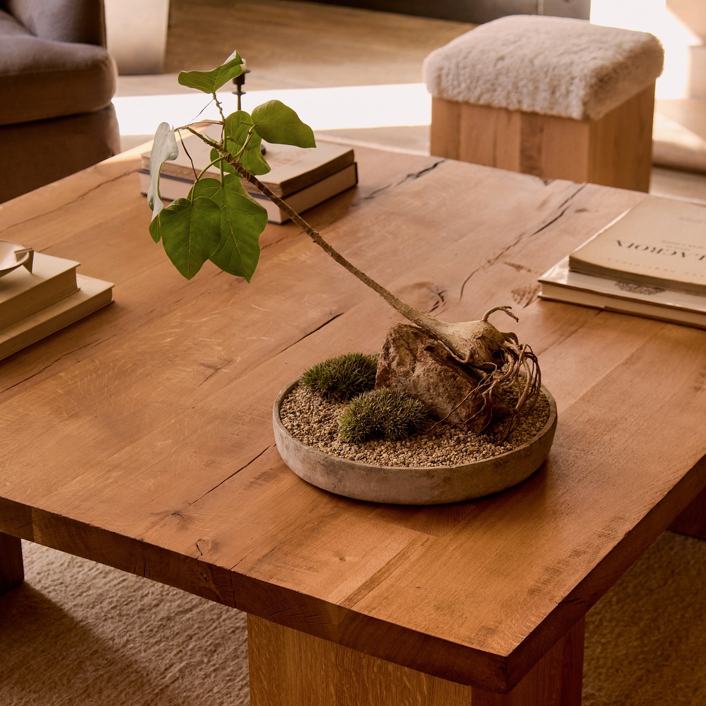 Eik Coffee Table - Square by House of Leon — view 3