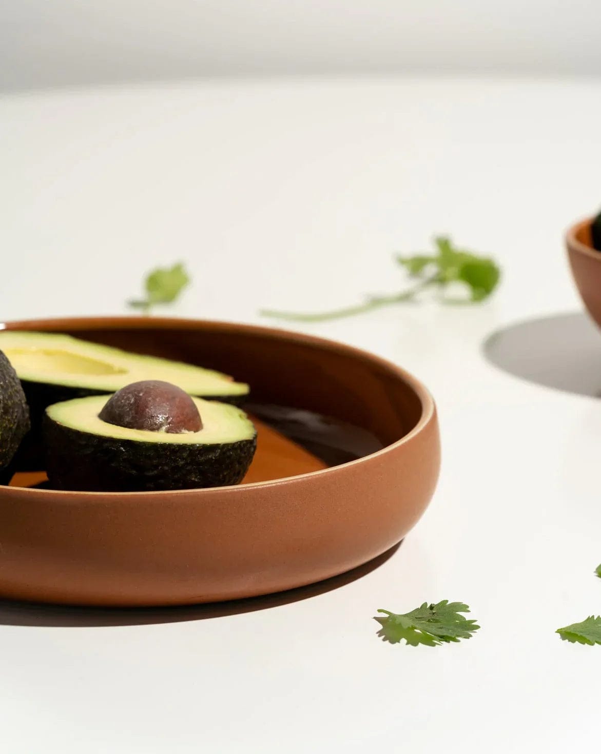 Stoneware bowl in Terracotta styled overhead with avocado and herbs