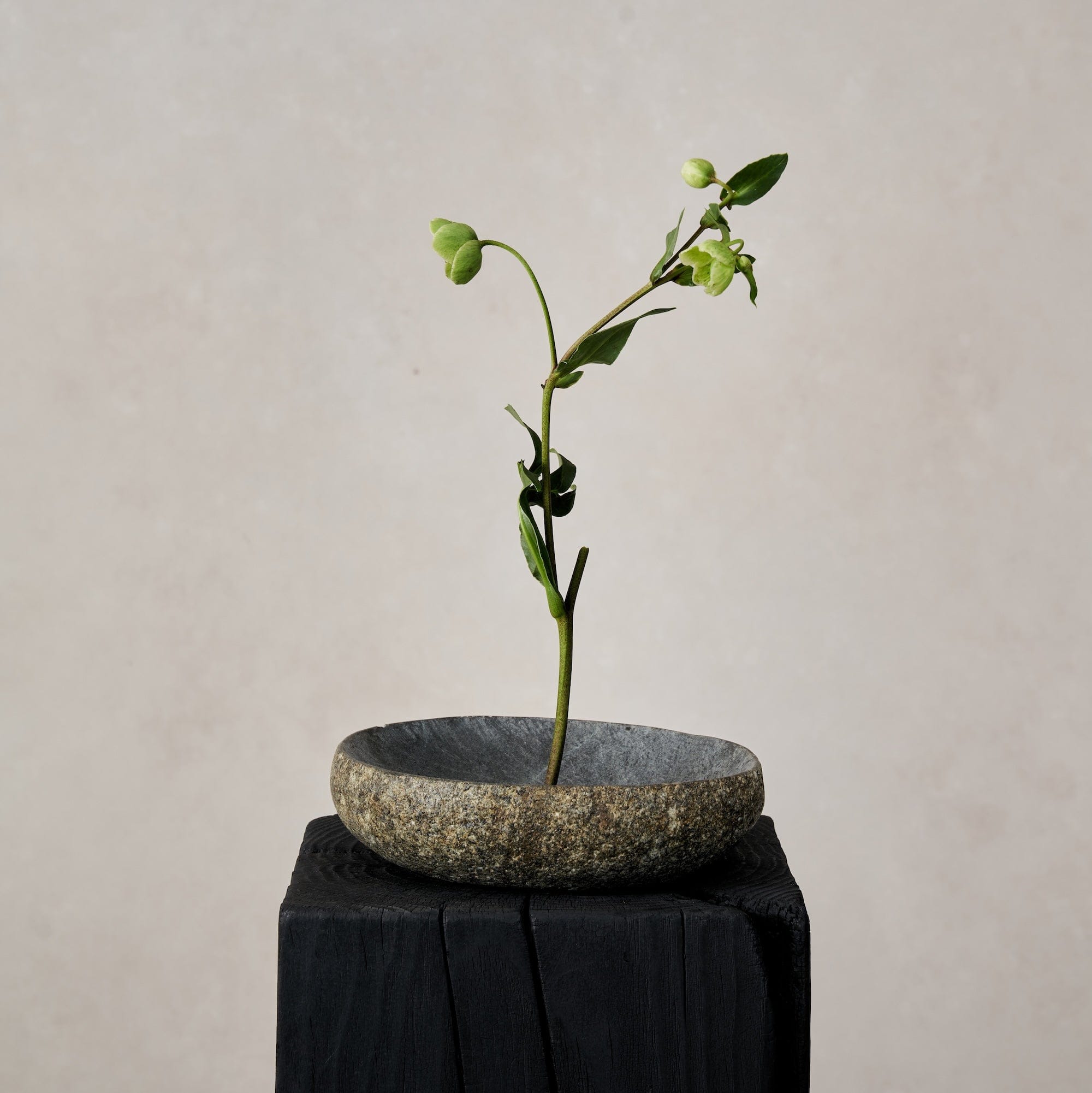 River Stone Bowl by House of Leon