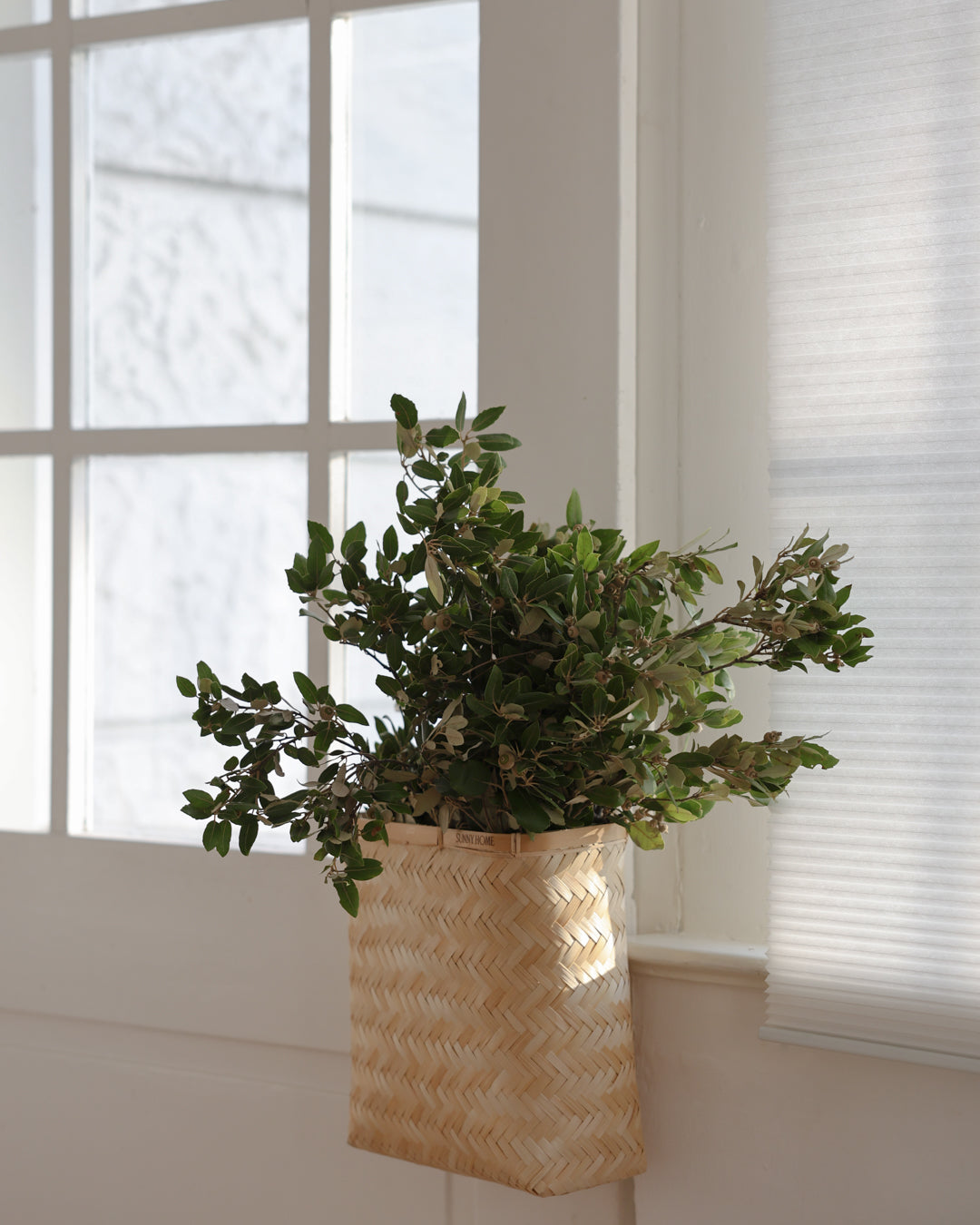 Bamboo wall basket used as a planter for leafy greenery beside a bright window.