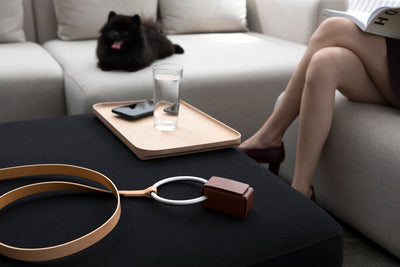 Peach Lumi Leash resting on a black ottoman with its silver ring handle and brown waste-bag holder visible, while a small black dog relaxes on a sofa behind it.