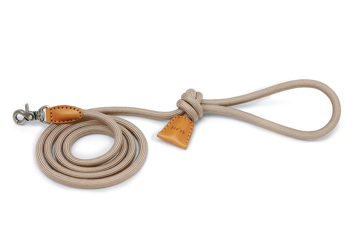 Ray Leash, Champagne Gold