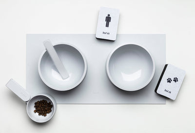 Overhead view of the two labeled sponges arranged with pale pet bowls, feeding spoons, and a small bowl of dry food to show their separate uses.