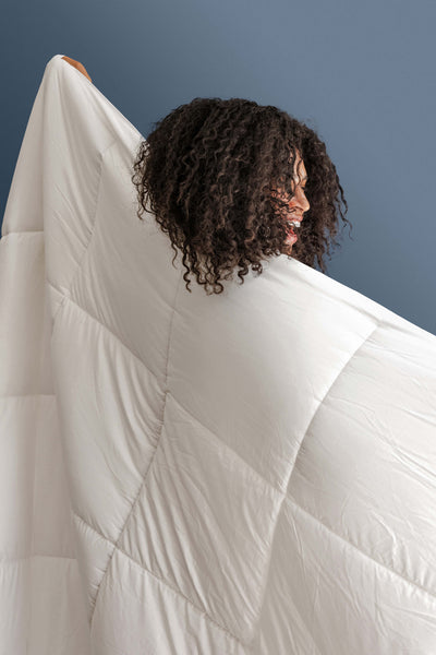 Down Duvet Insert