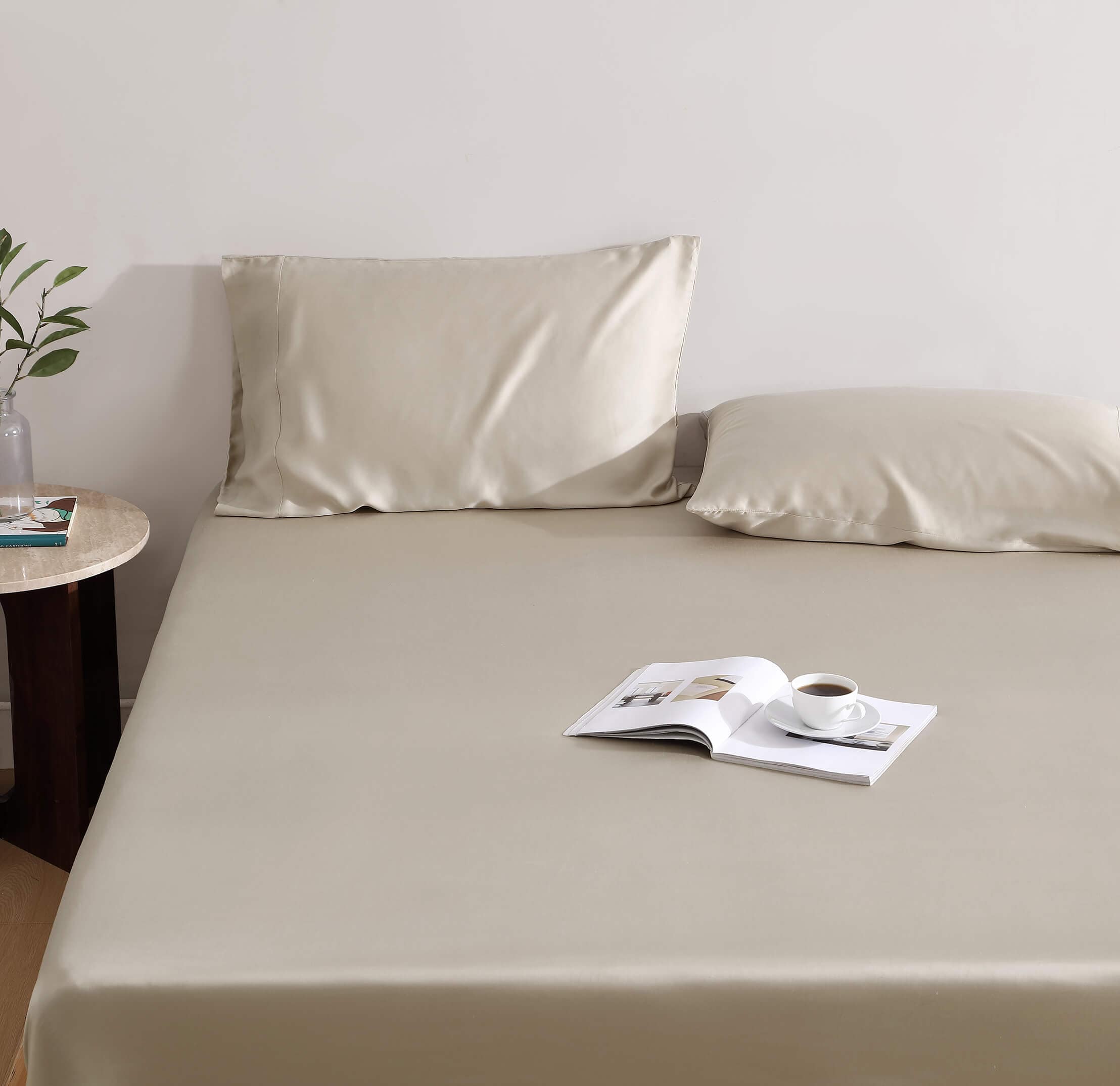 Silky Lyocell Pillowcase Set