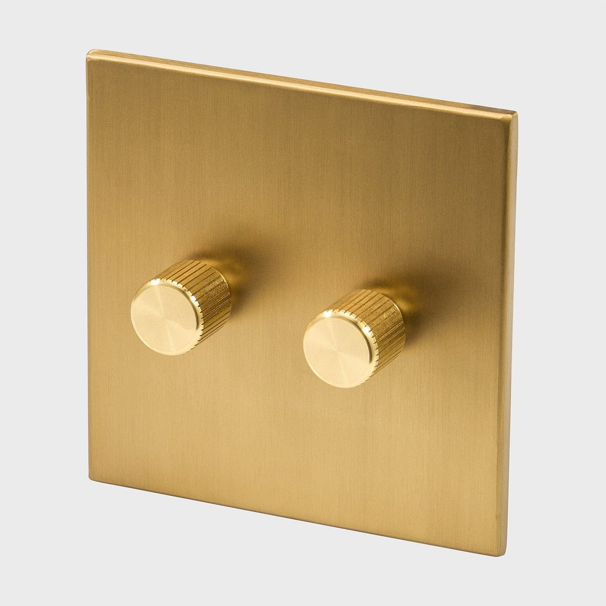 Double Rotary Wall Dimmer in Brass - close-up product detail