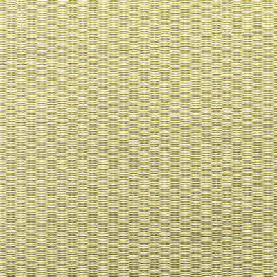 Seiryu YOUNG GRASS Tatami Mat