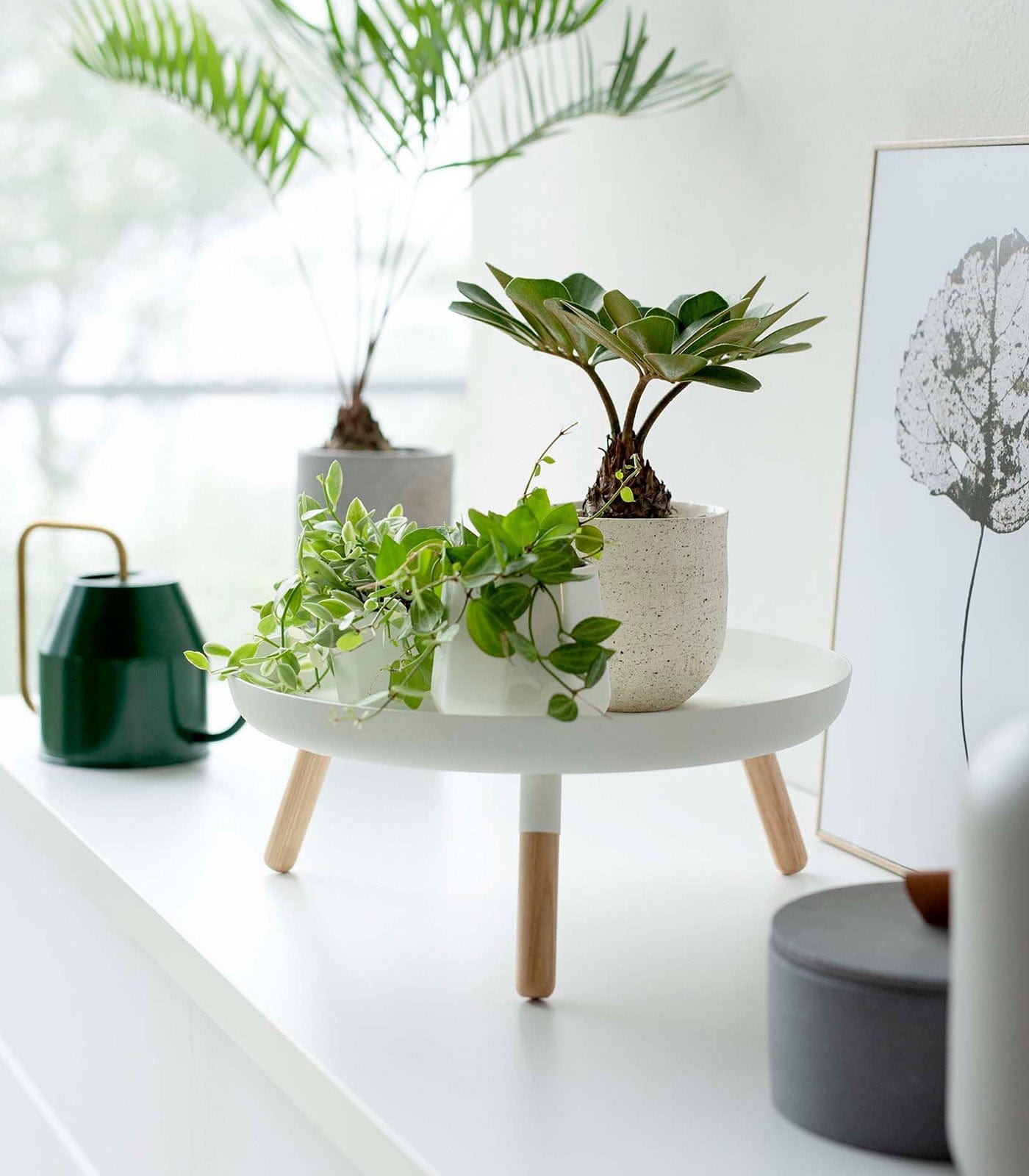 Countertop Pedestal Tray (5" H)  - Steel + Wood