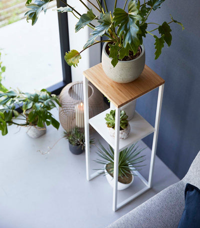 Two-Tier Display & Storage Shelf (31.5" H)  - Steel + Wood