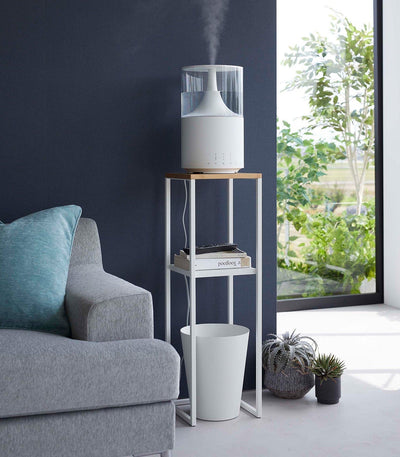 Two-Tier Display & Storage Shelf (31.5" H)  - Steel + Wood
