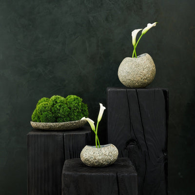 Three stone vases with plants on wooden planks against a dark background