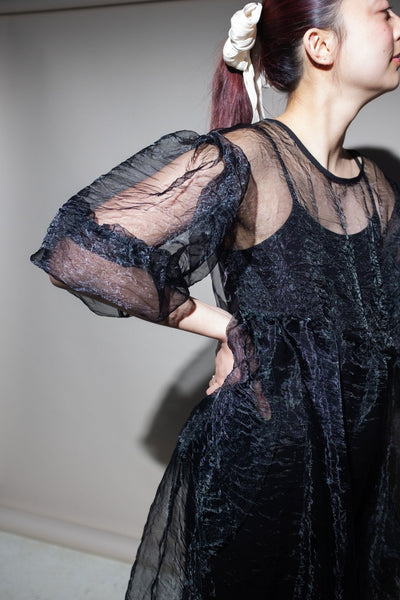 Jayme Dress in Black Organza