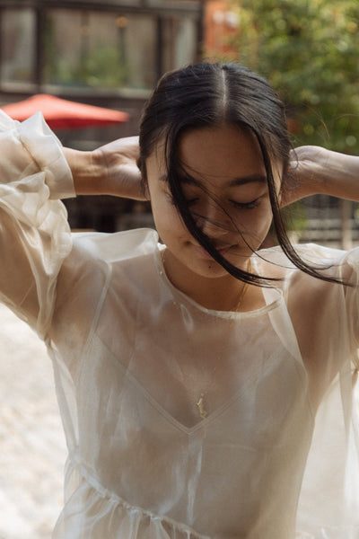 Jayme Dress in Oat Organza