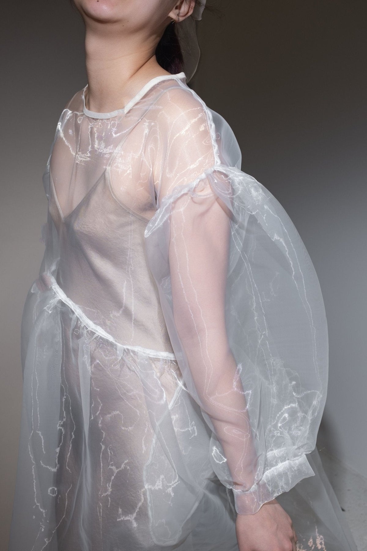 Jayme Dress in Oat Organza