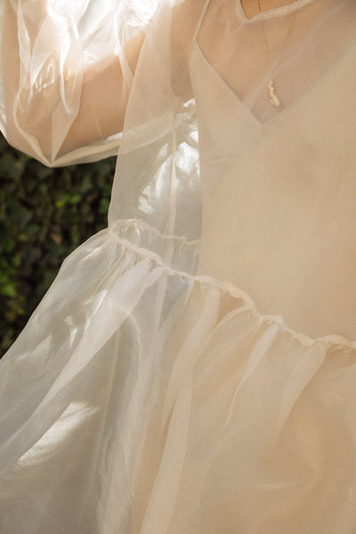 Jayme Dress in Oat Organza