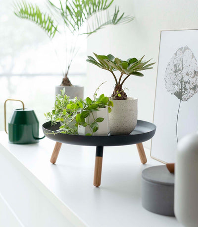 Countertop Pedestal Tray (5" H)  - Steel + Wood