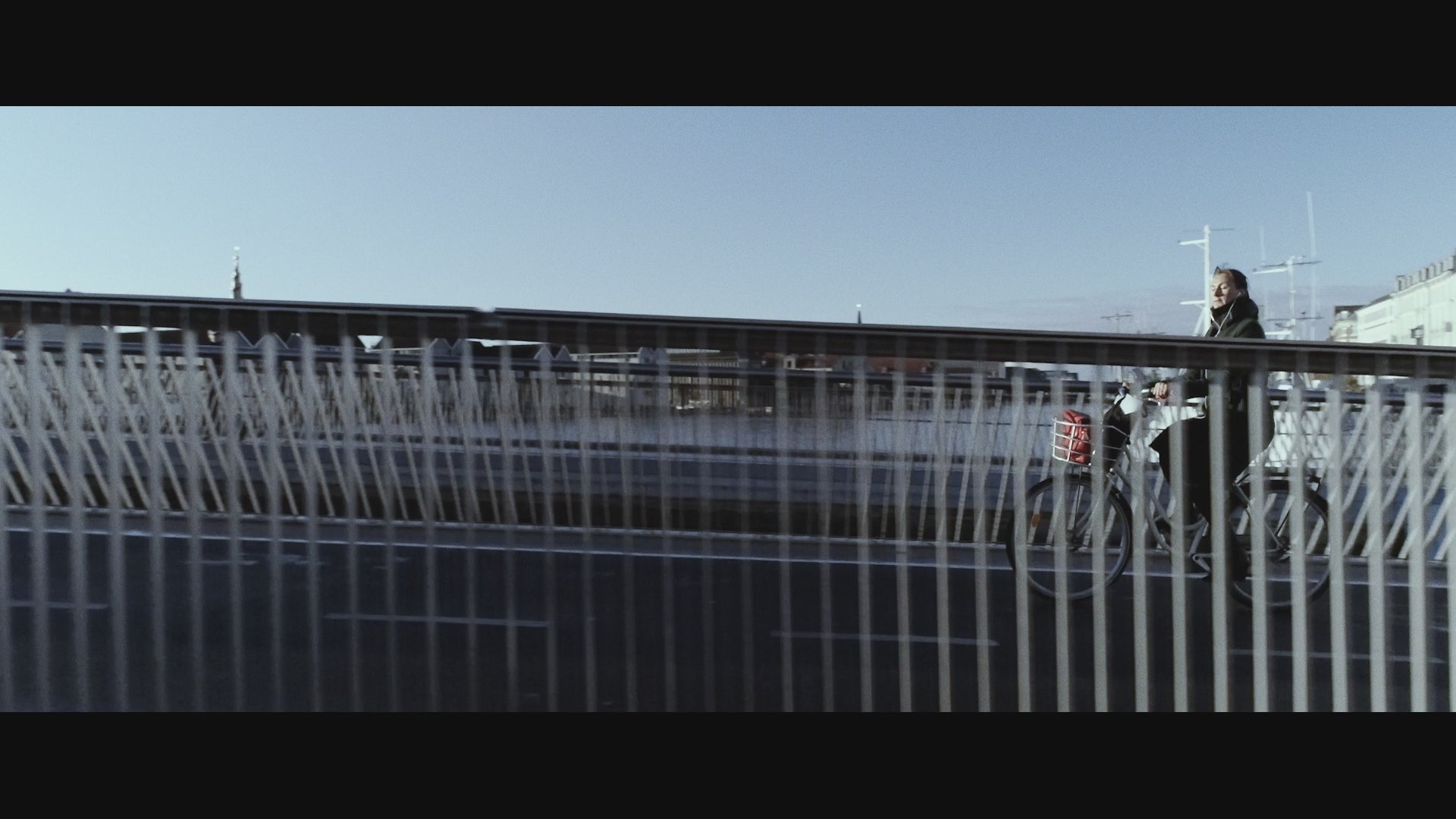 Load video: A glimpse into their world