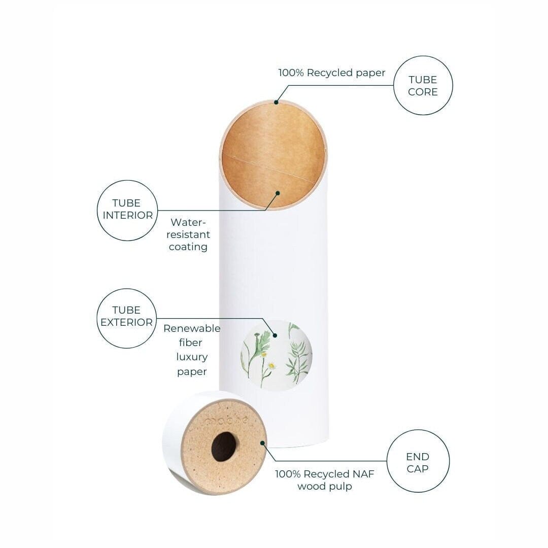 Diagram of the Yoga Tube 